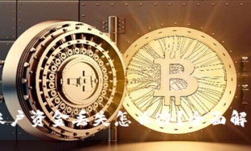 TPWallet账户资金丢失怎么办?全面解决方案解析