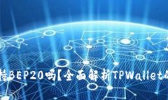 TPWallet支持BEP20吗？全面解析TPWallet的功能与优势