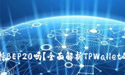 TPWallet支持BEP20吗?全面解析TPWallet的功能与优势