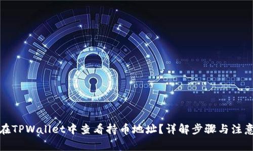 如何在TPWallet中查看持币地址?详解步骤与注意事项