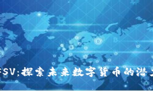 虚拟币FSV:探索未来数字货币的潜力与挑战