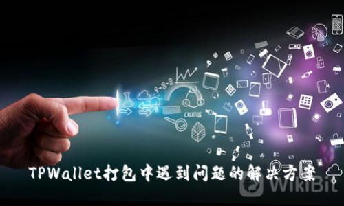 TPWallet打包中遇到问题的解决方案