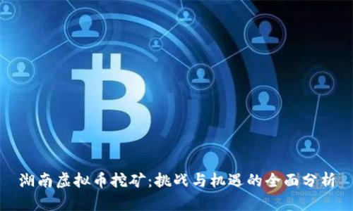 湖南虚拟币挖矿:挑战与机遇的全面分析