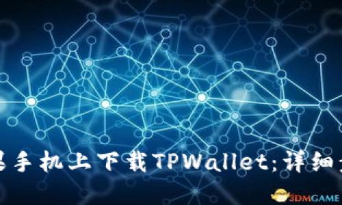 如何在苹果手机上下载TPWallet：详细步骤和技巧