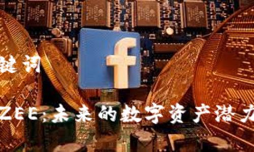 思考的和关键词

投资虚拟币ZEE：未来的数字资产潜力与风险分析