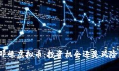 邛崃虚拟币：投资机会还是风险？