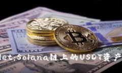 TPWallet：Solana链上的USDT资产全解析