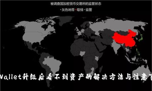TPWallet升级后看不到资产的解决方法与注意事项