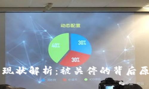 虚拟币交易所现状解析：被关停的背后原因与未来展望
