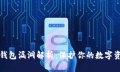 虚拟币钱包漏洞解析：保护你的数字资产安全