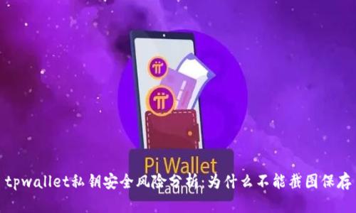 tpwallet私钥安全风险分析:为什么不能截图保存