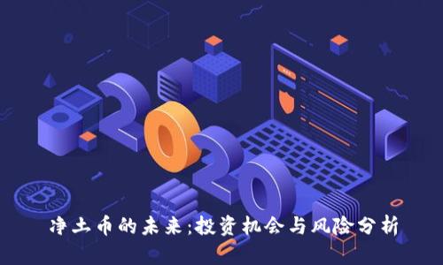 净土币的未来:投资机会与风险分析