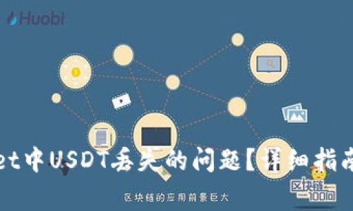 如何解决tpwallet中USDT丢失的问题?详细指南与常见问题解析