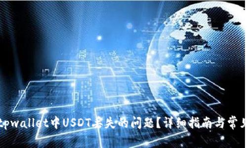 如何解决tpwallet中USDT丢失的问题?详细指南与常见问题解析