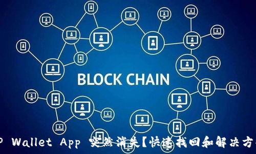 TP Wallet App 突然消失?快速找回和解决方案