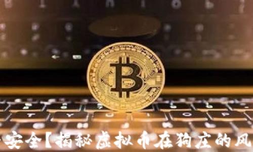 狗庄是否安全?揭秘虚拟币在狗庄的风险与保障