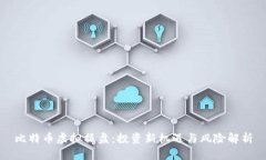 比特币虚拟操盘：投资新机遇与风险解析