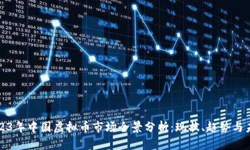 2023年中国虚拟币市场全景分析:现状、趋势与未来