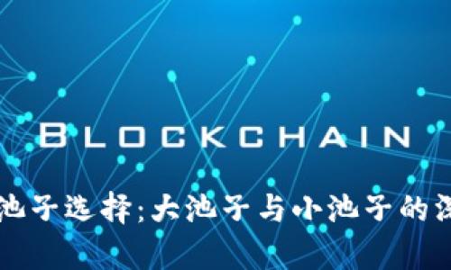 虚拟币池子选择:大池子与小池子的深度分析