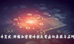 虚拟币蒸发：理解加密货币损失背后的原因与应