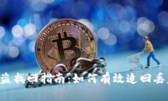 TPWallet币被盗找回指南：如何有效追回丢失的数字