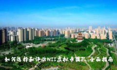 如何选择和评估NII虚拟币团队：全面指南