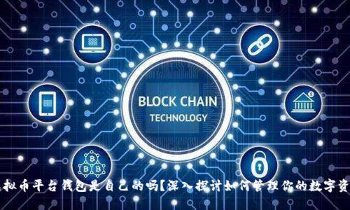 虚拟币平台钱包是自己的吗?深入探讨如何管理你的数字资产