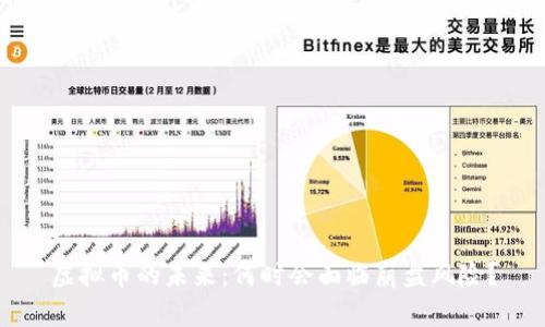 虚拟币的未来:何时会面临崩盘风险?