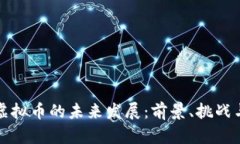 导演虚拟币的未来发展：前景、挑战与机遇