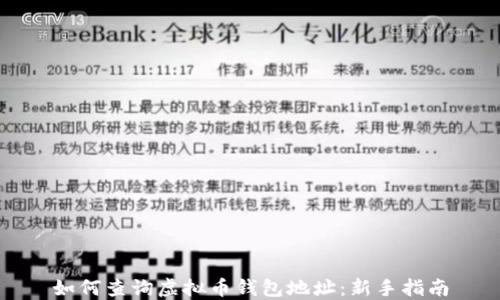 如何查询虚拟币钱包地址:新手指南