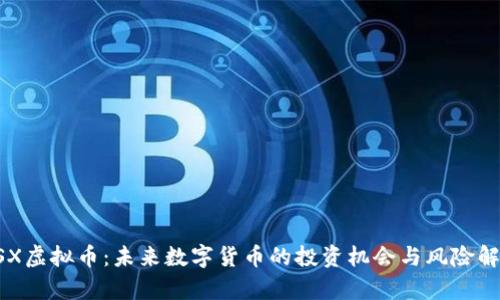 DSX虚拟币:未来数字货币的投资机会与风险解析