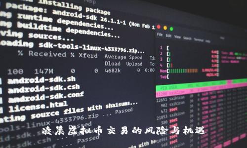 凌晨虚拟币交易的风险与机遇