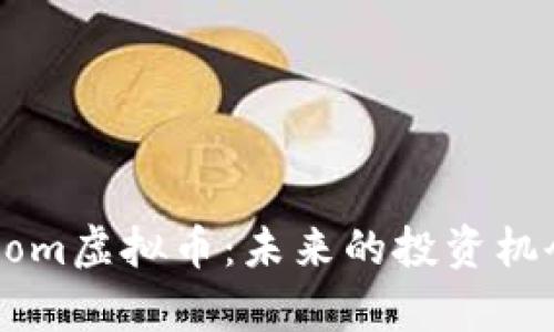 深入解析Doom虚拟币:未来的投资机会还是风险?