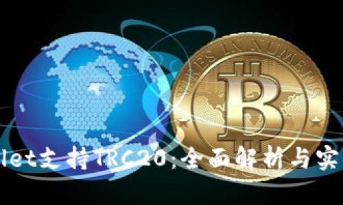 TPWallet支持TRC20:全面解析与实用指南