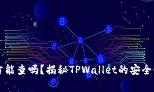 TPWallet警方能查吗?揭秘TPWallet的安全性与查询机制