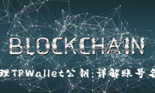 如何创建和管理TPWallet公钥:详解账号名的获取与使用