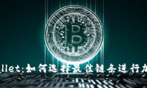 BNB与TPWallet:如何选择最佳链条进行加密资产管理