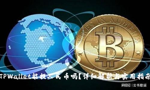 TPWallet能提人民币吗?详细解析与实用指南