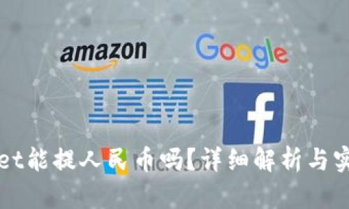TPWallet能提人民币吗?详细解析与实用指南