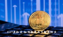 OXT虚拟币：如何投资与了解其潜力