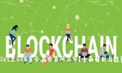 TPWallet里DRG多会在交易所上市？全面解析与投资机
