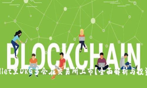 TPWallet里DRG多会在交易所上市?全面解析与投资机会