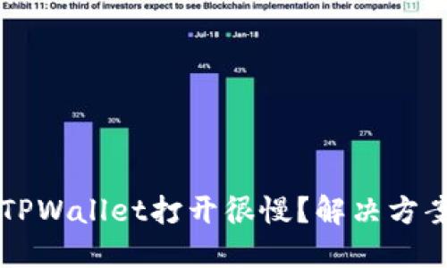为什么TPWallet打开很慢?解决方案与技巧
