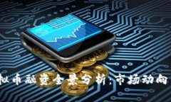 2019年虚拟币融资全景分析：市场动向与投资机会