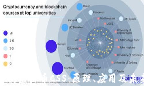 深入解析虚拟币CSS:原理、应用及未来发展