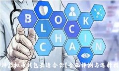   哪种虚拟币钱包最适合你？全面评测与选择指南