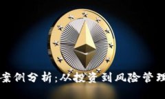 虚拟币真实案例分析：从投资到风险管理的全面