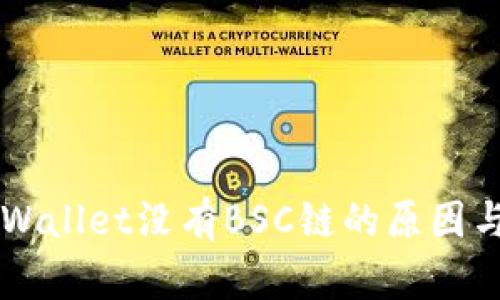 电脑版TPWallet没有BSC链的原因与解决方案