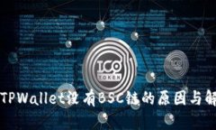 电脑版TPWallet没有BSC链的原因与解决方案