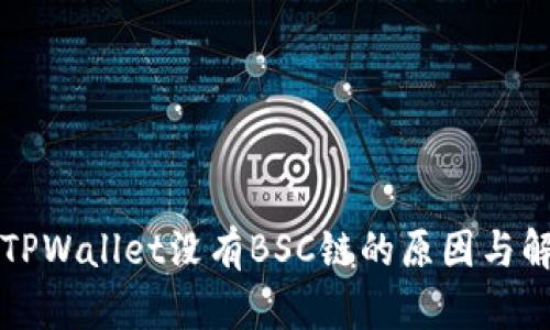 电脑版TPWallet没有BSC链的原因与解决方案